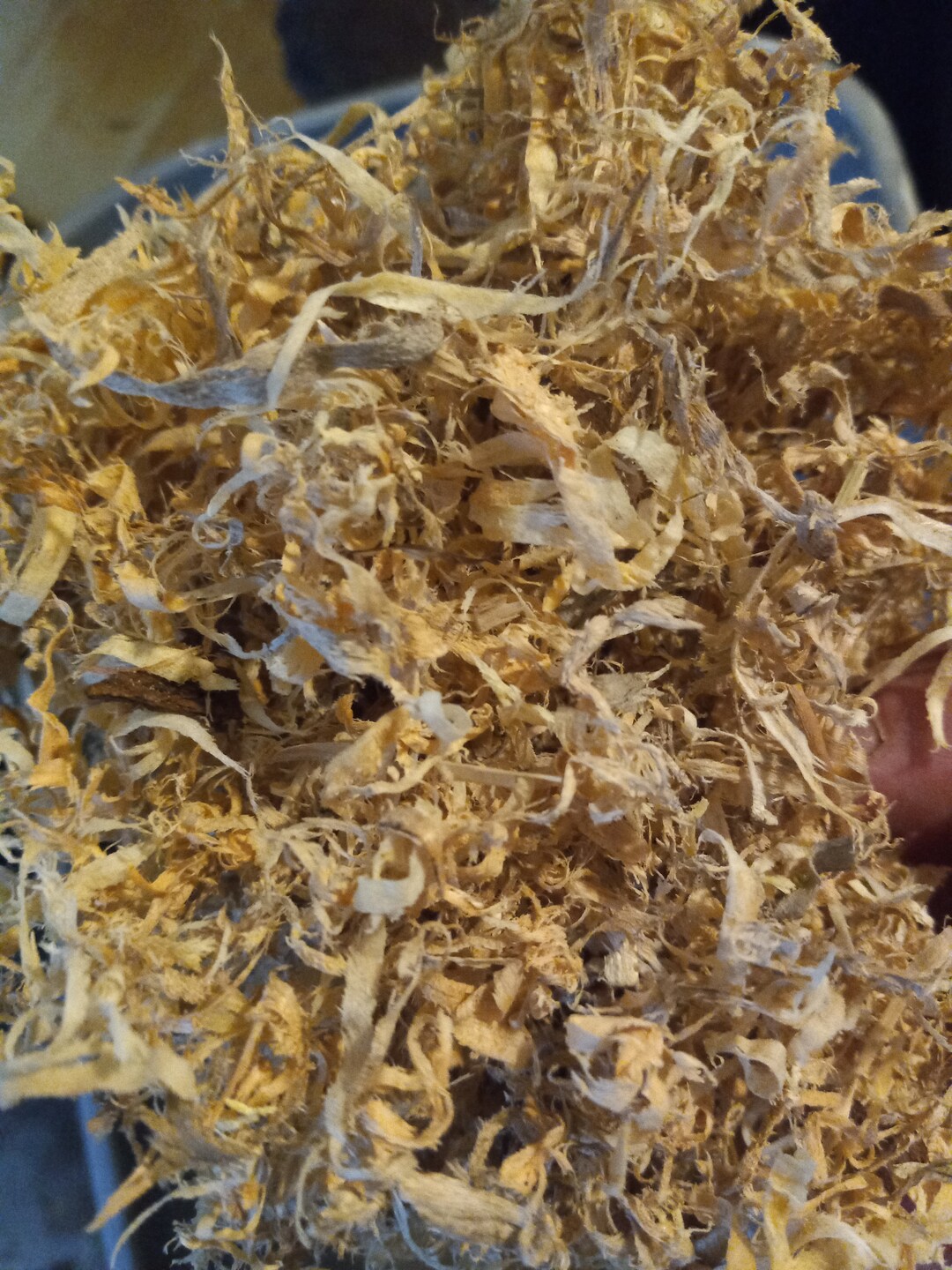 Oak Tree Wood Chainsaw Shavings Terrarium Vivarium Isopod Etsy