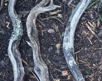 3 pcs Manzanita Driftwood Branches 12-15 Gray Weathered Aquarium Terrarium Decor