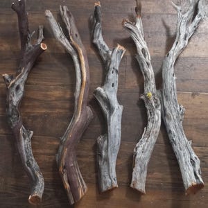 May include: Five pieces of driftwood in varying shades of gray, brown, and tan. The driftwood pieces have a natural, weathered appearance with visible knots and textures. They are arranged on a dark wood surface.