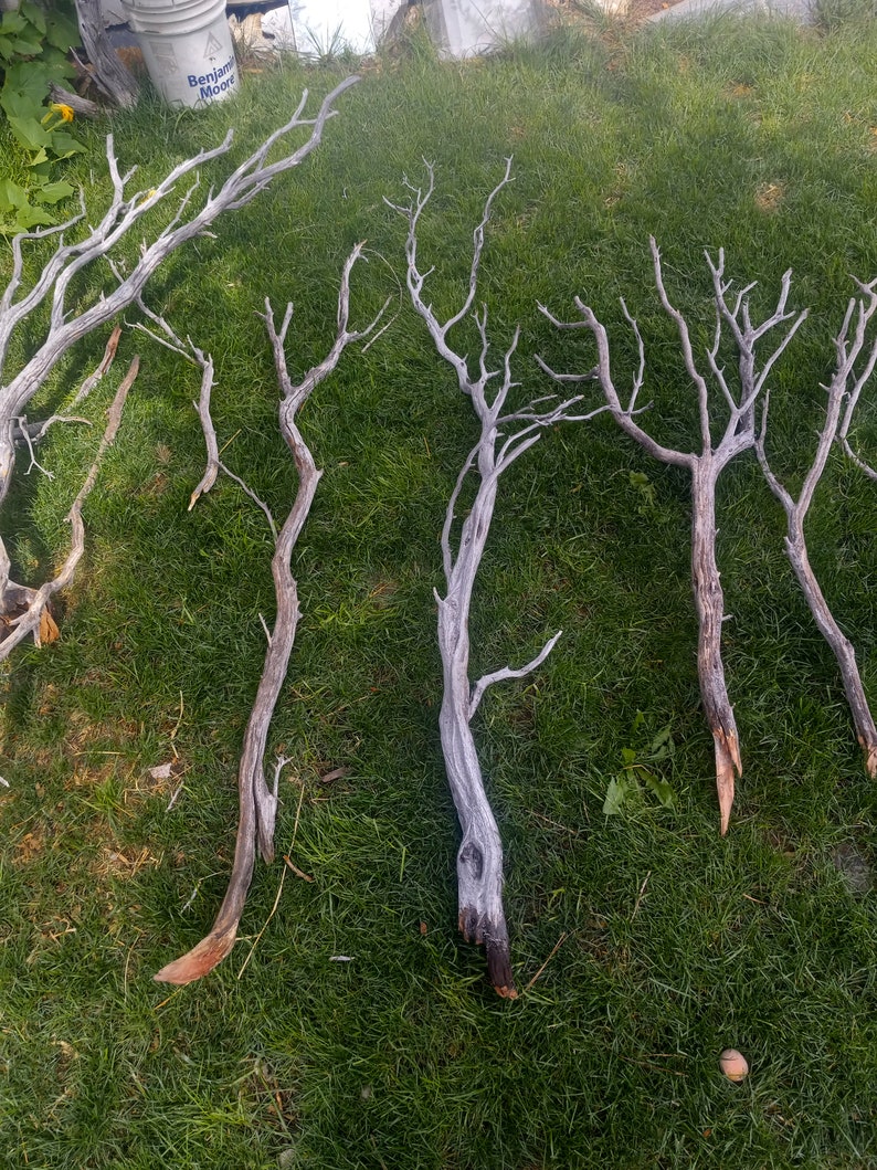 52 Pcs Mix 648 in Manzanita Driftwood Tk N Thn Branches Aquarium