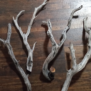 Puede incluir: Cuatro piezas de madera flotante, blanqueadas en blanco y gris, con varias formas y ramas. La madera flotante está dispuesta sobre una superficie de madera.