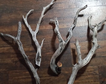 2 pcs Manzanita Ghostwood Driftwood Branches 14-15 inch Y-Shape Aquarium Decor