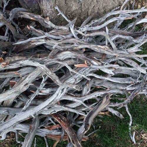 7 Ramas Naturales De Manzanita Lijadas A Mano Para Terrarios, Jaulas Y Acuarios (Tamaños 6-15")