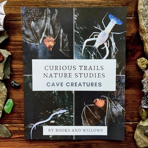 Cave Creatures Unit Curious Trails Nature Study Bat Unit Homeschool Curriculum image 1