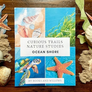 Ocean Shore Unit Study - Curious Trails | Nature Study | Ocean Study | Homeschool Curriculum