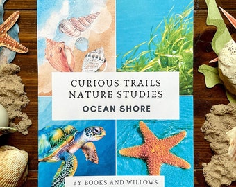 Ocean Shore Unit Study - Curious Trails | Nature Study | Ocean Study | Homeschool Curriculum