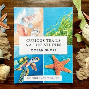 Ocean Shore Unit Study - Curious Trails | Nature Study | Ocean Study | Homeschool Curriculum