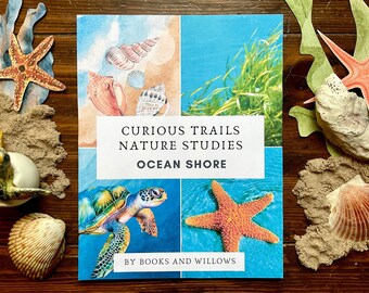 Ocean Shore Unit Study - Curious Trails | Nature Study | Ocean Study | Homeschool Curriculum