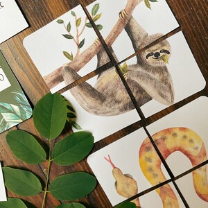 May include: A set of six illustrated cards featuring a sloth hanging from a branch, a snake, and a bird. The cards are printed on white cardstock and have a rustic wood background.