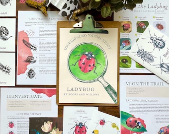 Ladybug Nature Study: Homeschool Curriculum (PDF Download)