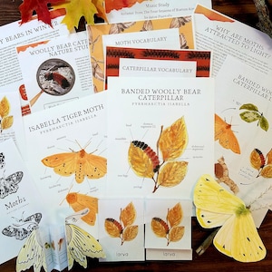 Woolly Bear Caterpillar Nature Study | Fall Nature Study | Homeschool Printable