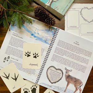 May include: An open nature journal with spiral binding, featuring illustrations of animal tracks and a deer. Includes cards with animal track illustrations and text, such as "chipmunk" and "owl". A pine cone and evergreen branch are in the background.