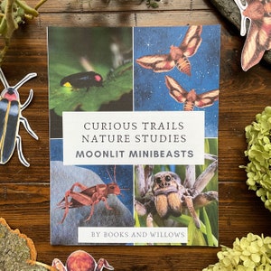 Moonlit Minibeasts Nature Study: Curious Trails Homeschool Curriculum (PDF Download)