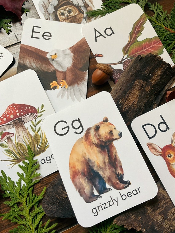 Forest Alphabet Cards: Montessori Preschool (PDF Download)
