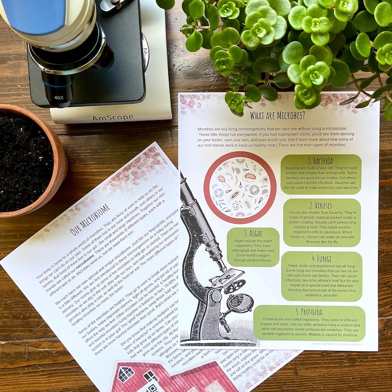 May include: A colorful educational poster with a microscope illustration and text about microbes. The poster explains the five main types of microbes: bacteria, viruses, algae, fungi, and protozoa. The poster includes illustrations of each type of microbe.