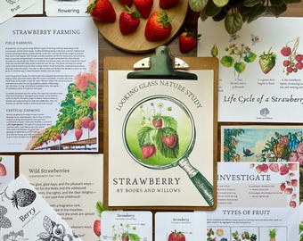 Puede incluir: Un conjunto de tarjetas educativas sobre las fresas, con ilustraciones de la planta, la fruta y el ciclo de vida. Las tarjetas forman parte de una serie de estudios de la naturaleza llamada "Looking Glass Nature Study" de Books and Willows.