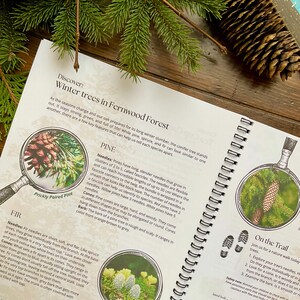 May include: An open book with text about winter trees in Fernwood Forest, featuring illustrations of pine needles and cones. A pine cone and evergreen branches are also visible.