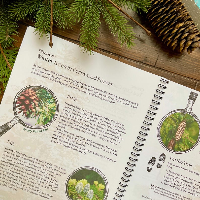 May include: An open book with text about winter trees in Fernwood Forest, featuring illustrations of pine needles and cones. A pine cone and evergreen branches are also visible.