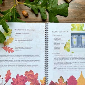 Puede incluir: Un libro abierto con encuadernaci&oacute;n en espiral, con texto e ilustraciones sobre los pigmentos de las hojas de roble. Las p&aacute;ginas muestran hojas coloridas e instrucciones para un experimento de revelaci&oacute;n del color de las hojas. Hojas verdes de roble y bellotas sobre una superficie de madera.
