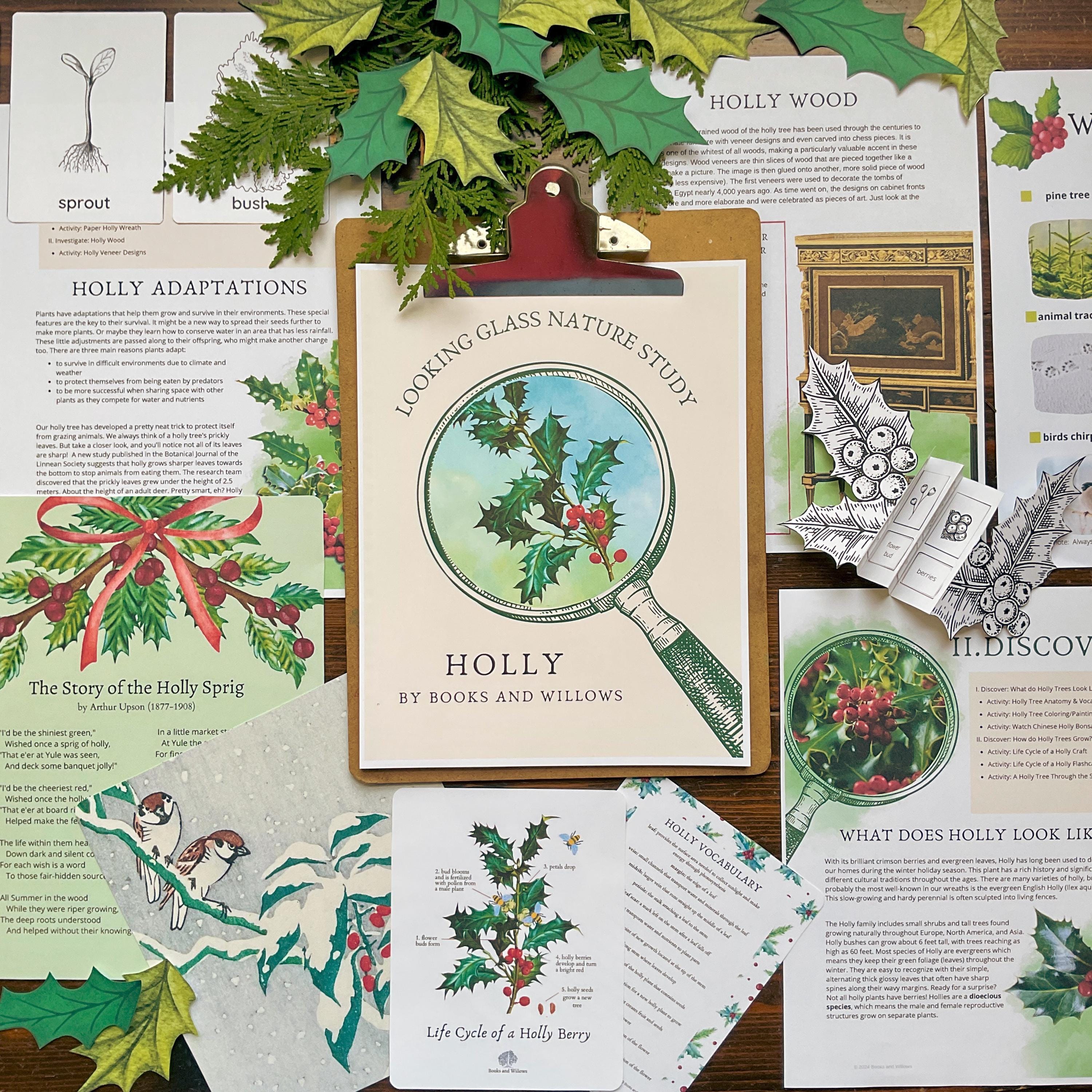 Holly Tree Nature Study: Christmas Homeschool Curriculum (PDF Download ...