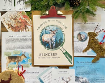 Rendiernatuurstudie: kersthuisonderwijs (pdf-download)