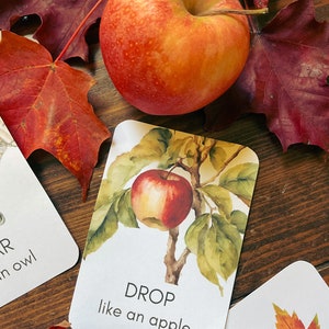 May include: A red and yellow apple rests on a wooden surface, surrounded by red autumn leaves. A card with an apple illustration and the words "DROP like an apple" is also present, suggesting a fall or harvest theme.