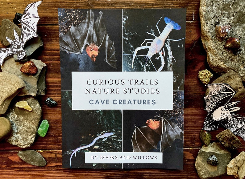 Cave Creatures Unit Curious Trails Nature Study Bat Unit Homeschool Curriculum image 1