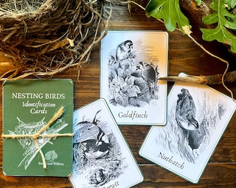 Nesting Birds Identification Flashcards | Nature Study | Homeschool