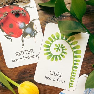 Puede incluir: Dos tarjetas blancas con ilustraciones y texto. La primera tarjeta muestra una mariquita roja con manchas negras y el texto "SKITTER like a ladybug". La segunda tarjeta muestra un helecho verde enrollado en espiral y el texto "CURL like a fern".