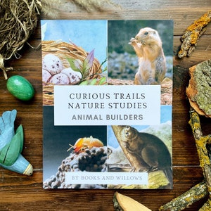 Animal Builders Unit Study - Curious Trails Nature Study | Animal Homes Unit | Bird Nests | Homeschool Curriculum