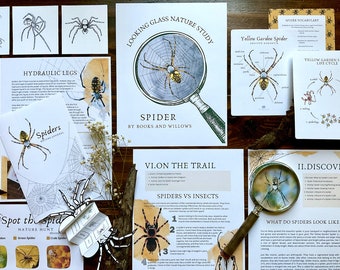 Spider Looking Glass Nature Study | Spider Anatomy & Life Cycle | Homeschool Printable | Unit Study