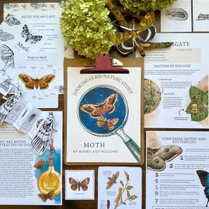 Moth Nature Study: Homeschool Curriculum (PDF Download)