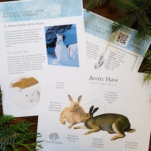 A Thing Called Snow Family Literature and Activity Guide Snow Nature Study Winter Unit Study Homeschool image 5