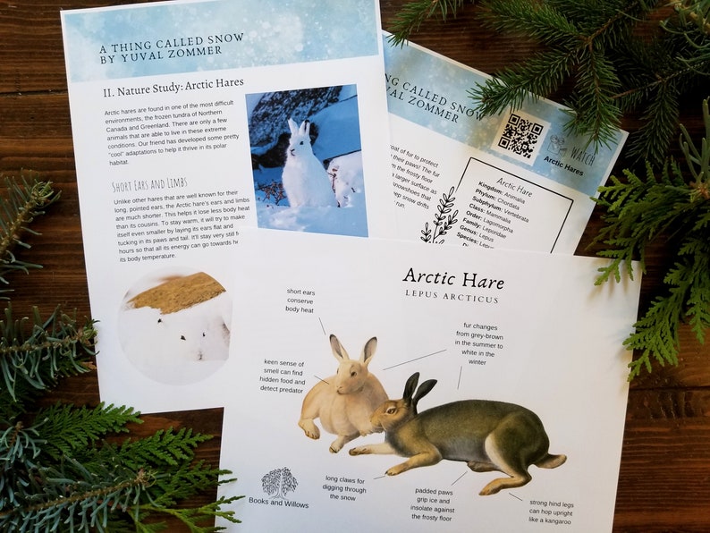 A Thing Called Snow Family Literature and Activity Guide Snow Nature Study Winter Unit Study Homeschool image 5