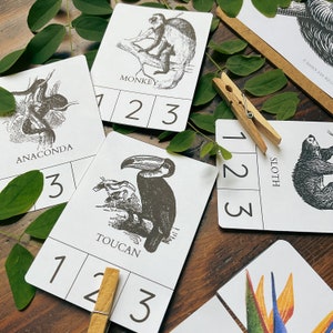 May include: A set of five educational flashcards featuring illustrations of animals, including a monkey, anaconda, toucan, sloth, and a bird of paradise. Each card has a number grid with the numbers 1, 2, and 3. The cards are printed on white cardstock and have black ink.