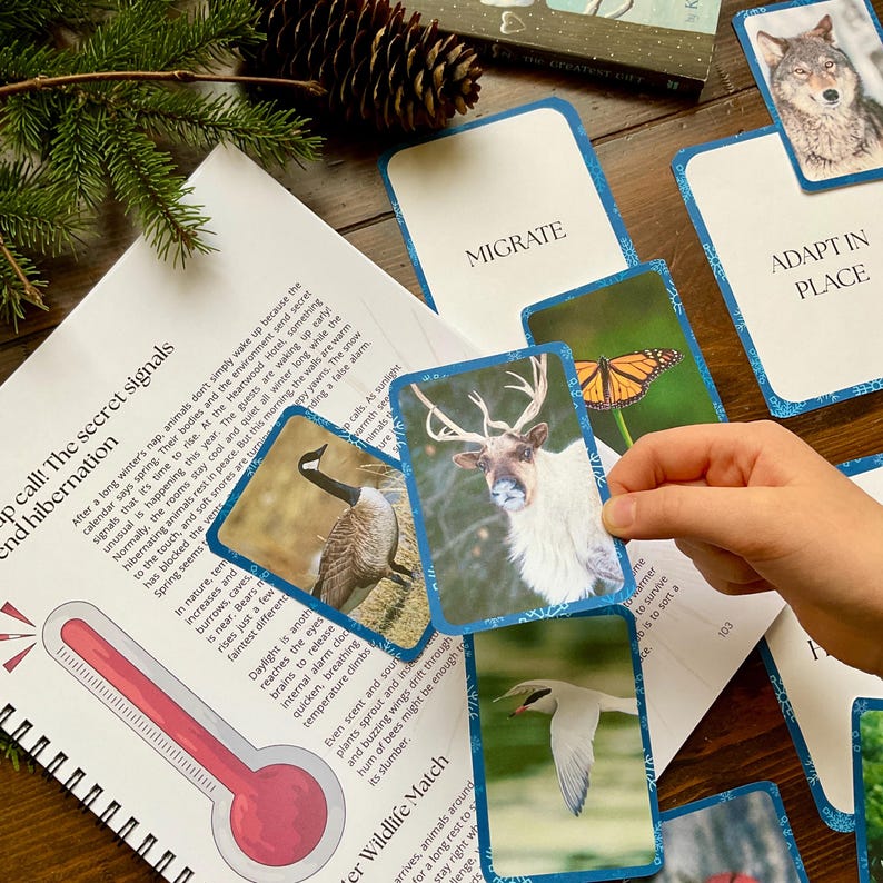 May include: A collection of wildlife-themed cards with blue borders, featuring images of animals like a wolf, reindeer, and goose. A thermometer graphic and text about hibernation are also visible, suggesting an educational theme.