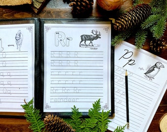 Winter Nature Traceable Alphabet | Print and Cursive Handwriting Practice | Letter Tracing Worksheets