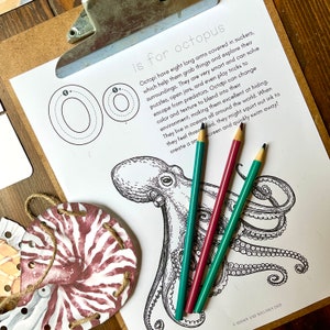 Op de afbeelding: Een zwart-witte illustratie van een octopus met de tekst "is for octopus" en een gestippelde omtrek van de letter "O" op een wit vel papier. Drie kleurpotloden liggen op het papier.