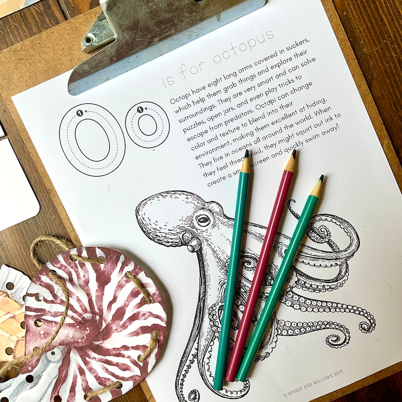 Op de afbeelding: Een zwart-witte illustratie van een octopus met de tekst "is for octopus" en een gestippelde omtrek van de letter "O" op een wit vel papier. Drie kleurpotloden liggen op het papier.