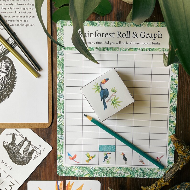 May include: A rainforest-themed game board with a grid and a toucan illustration. The game board is surrounded by a green border with tropical leaves. The text "Rainforest Roll & Graph" is at the top of the board. The text "How many times did you roll each of these tropical birds?" is below the title.