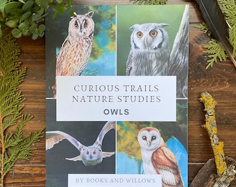 Puede incluir: Una portada de libro con el título "Curious Trails Nature Studies Owls" de Books and Willows. La portada presenta cuatro ilustraciones de búhos con plumas y fondos de diferentes colores.