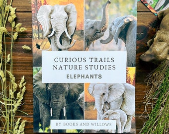 May include: A book cover with the title "Curious Trails Nature Studies Elephants" by Books and Willows. The cover features four photos of elephants in different settings.