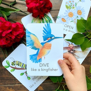 Tarjetas de movimiento de verano / Tarjetas didácticas Montessori / Preescolar