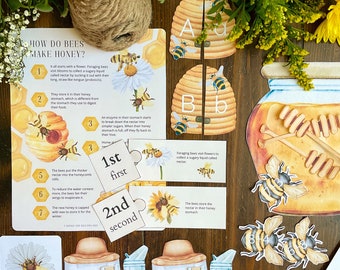 Honey Bee Early Learning Unit | Spring and Summer Homeschool | Language and Math Activities