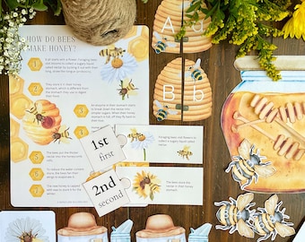 Honey Bee Early Learning Unit: Preschool & Kindergarten Activities (PDF Download)