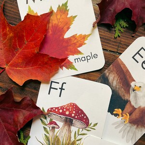 May include: Alphabet flash cards with illustrations of a maple leaf, a mushroom, and an eagle. The cards are white with black lettering and the words "Mm maple", "Ff", and "Gg".
