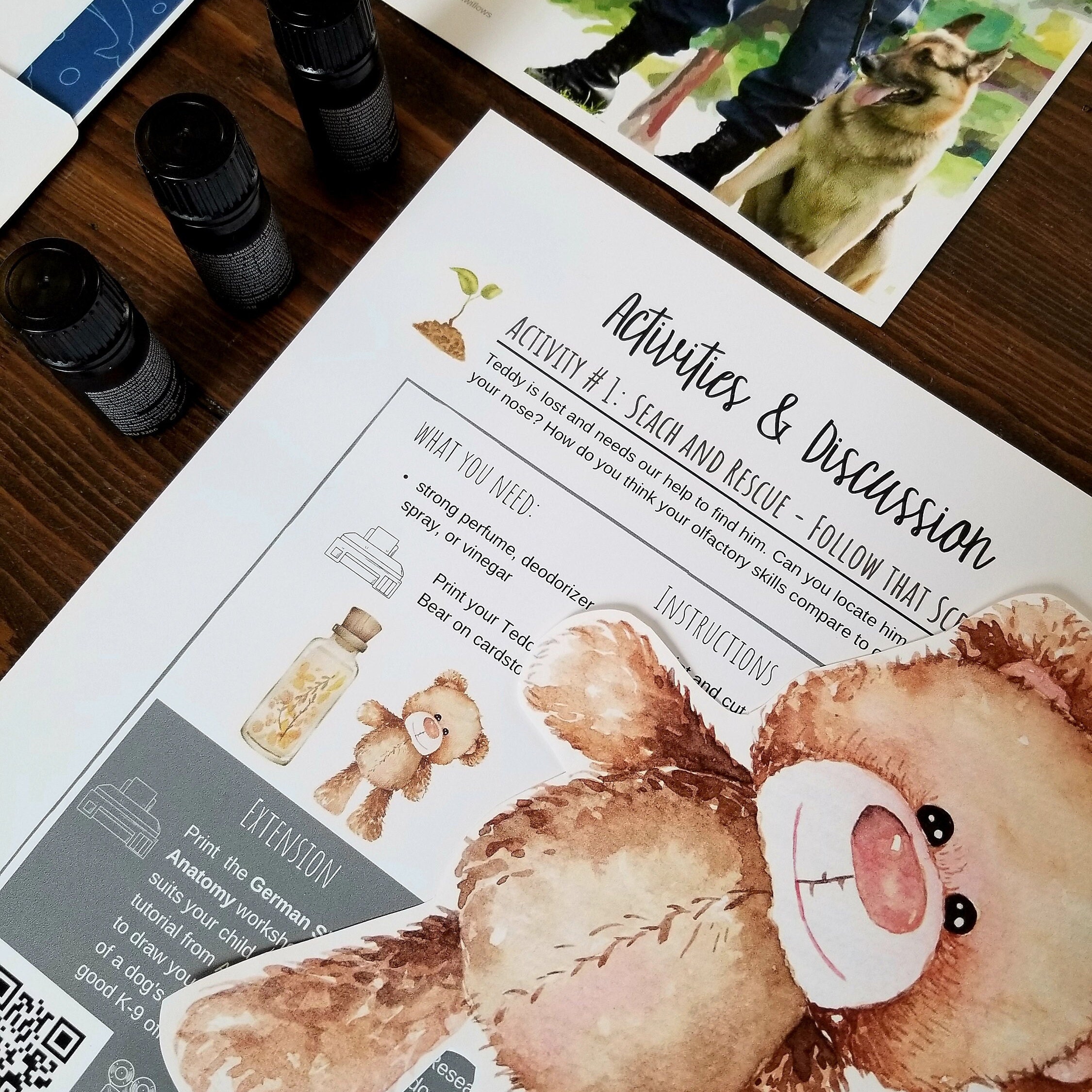 Medieval Times: Knights and Castles