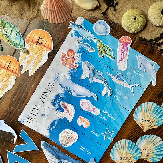 Ocean Early Learning Unit: Preschool & Kindergarten Activities (PDF Download)