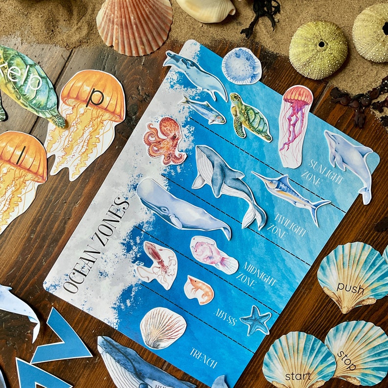 Op de afbeelding: Een kleurrijk educatief bord met de woorden "Ocean Zones" bovenaan. Het bord toont verschillende zeedieren en hun bijbehorende zones, waaronder de zonlichtzone, de schemerzone, de middernachtzone, de abyssale zone en de trogzone. Het bord is ontworpen voor kinderen om de verschillende oceaanzones te leren kennen.