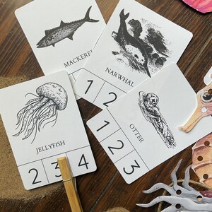 Op de afbeelding: Een set zwart-wit geillustreerde kaarten met verschillende zeedieren, waaronder een kwal, een makreel, een narwal en een otter. Elke kaart heeft een nummerrooster met de nummers 1, 2, 3 en 4.